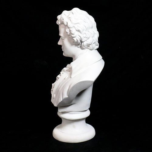 Classical European bust with ornate ruffled shirt and curled hair, inspired by Renaissance and Baroque sculptural styles. Other Angle