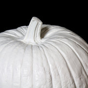 Pumpkin with classical sculptural detailing and ornate ridges, inspired by old world European and Renaissance aesthetics.