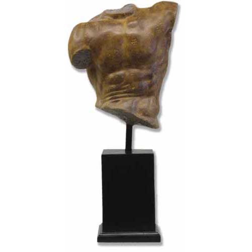Male Torso Bust Display Decor (14 - Inch)