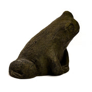 Toad Garden Statue (6 - Inch)