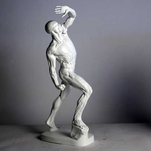 Anatomy of Man Garden Statue (28 - Inch) Different Angle
