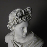 Classical Greek-style bust with ornate drapery and detailed hair, featuring a serene, idealized facial expression. Other Angle