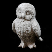 Owl Bird Garden Statue (13 - Inch) Different Angle