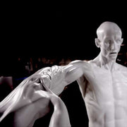Anatomy Of Man Statue Bdc (72 - Inch) Side View