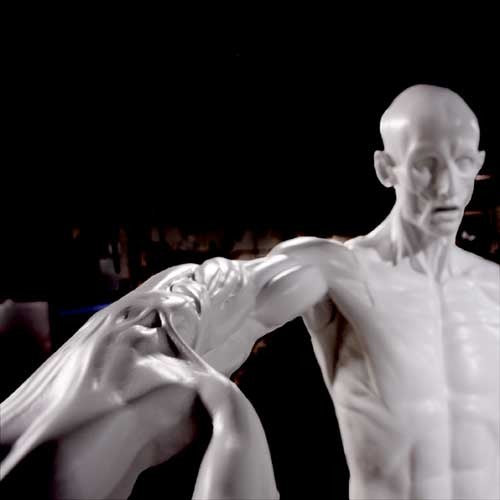 Anatomy Of Man Statue Bdc (72 - Inch) Side View