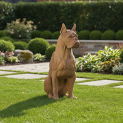 Boxer Dog Outdoor Statue (30 - Inch) Side Angle