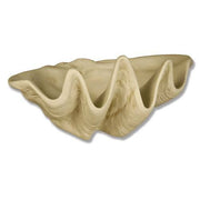 Giant clam shell with ornate, undulating edges and classical old world European sculptural detailing.