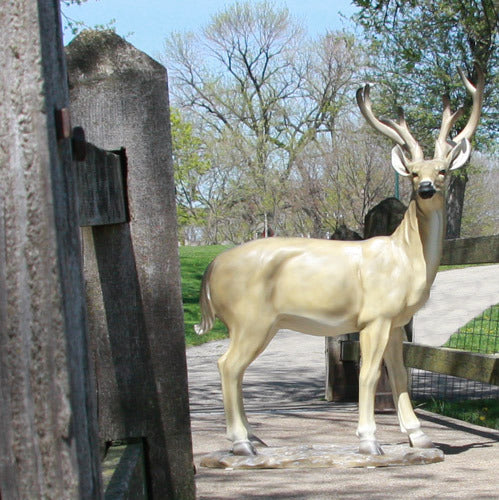 White Tail Deer Garden Statue (64 - Inch) Different Angle