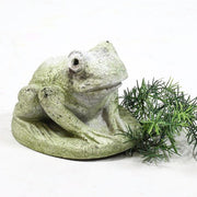 Hypno Frog Statue (5 - Inch)