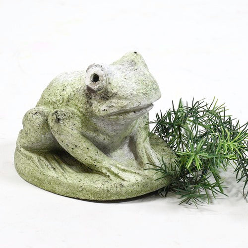 Hypno Frog Statue (5 - Inch)