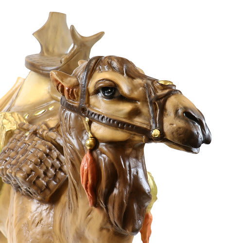 Nativity Camel 50 H   Ntv1.2 Outdoor/Indoor Statue