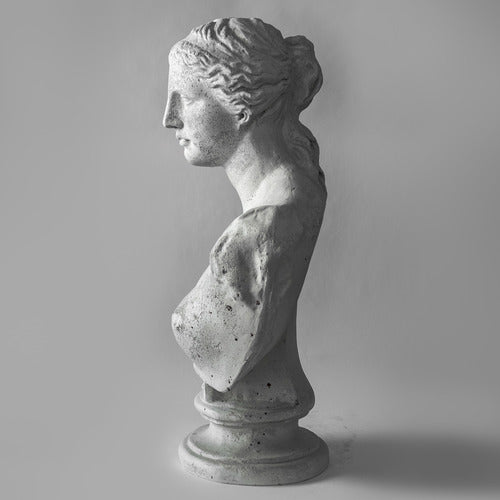 Venus De Milo (32 - Inch) Side View