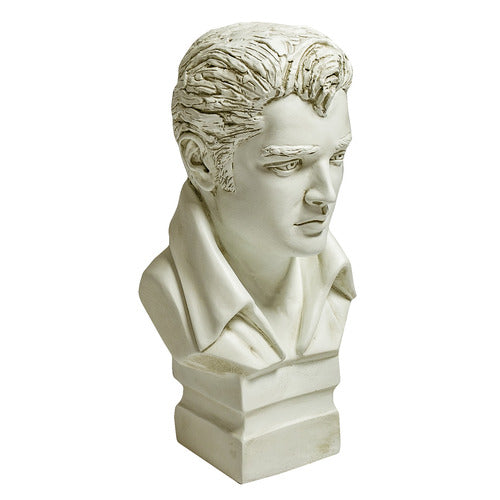 Classical European-style male bust with detailed facial features and wavy hair, inspired by Renaissance and old world sculpture. Different Angle