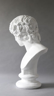 Antinous Bust Display Decor (26 - Inch) Side View