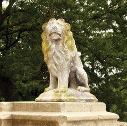 Sitting Lion Garden Statue (24 - Inch) Other Angle