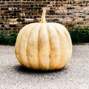 Pumpkin Garden Statue (24 - Inch)