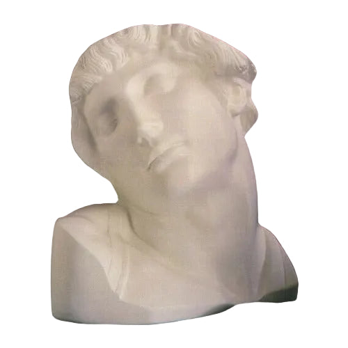 Slave Head Bust Display Decor (15 - Inch)