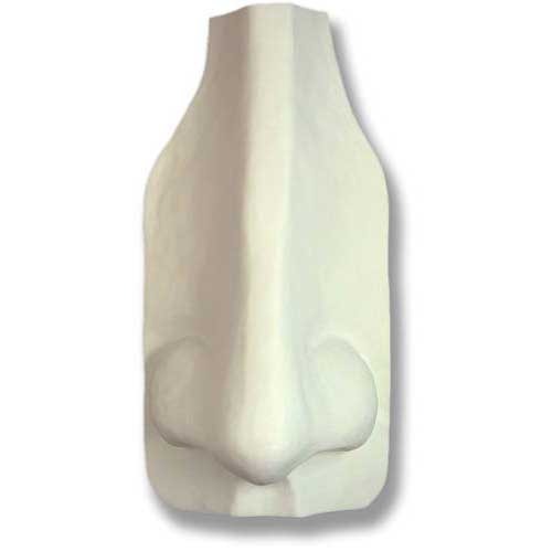 Classical Greek-style sculpted nose fragment with defined bridge and nostrils, reminiscent of Renaissance art studies.