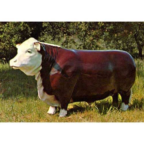 Steer Garden Statue (49 - Inch) Side View