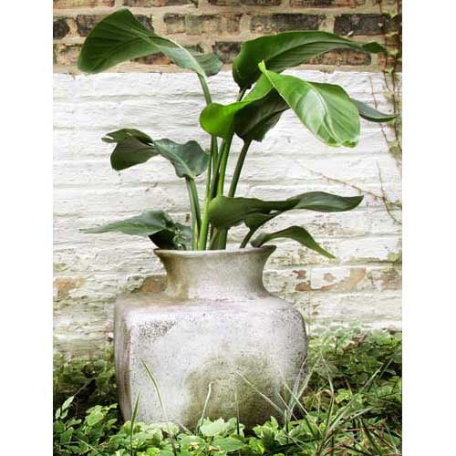 Perfume Vase Square 17 Outdoor/Indoor Statue