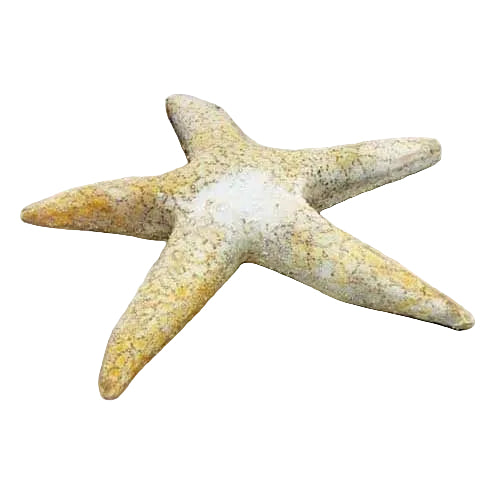 Starfish Garden Statue (30-Inch)