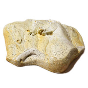 Rearing Horses Garden Statue (12 - Inch) Different Angle