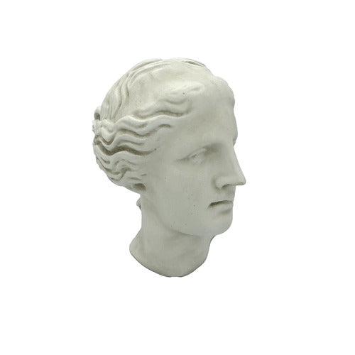 Venus Antiquity Head Bust Display Decor (9 - Inch) Side Angle
