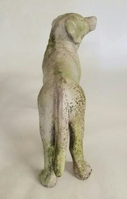 Dog Pup Garden Statue (19 - Inch) Side View