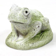 Hypno Frog Statue (5 - Inch) Side View
