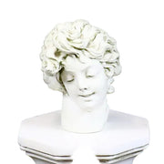 Classical European bust with ornate, wavy hair and serene expression, inspired by Renaissance and Baroque sculpture styles.
