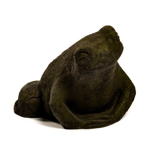 Toad Garden Statue (6 - Inch) Other Angle