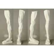 Classical anatomical leg sculpture with exposed muscles, inspired by Renaissance and old world European artistic traditions. Different Angle