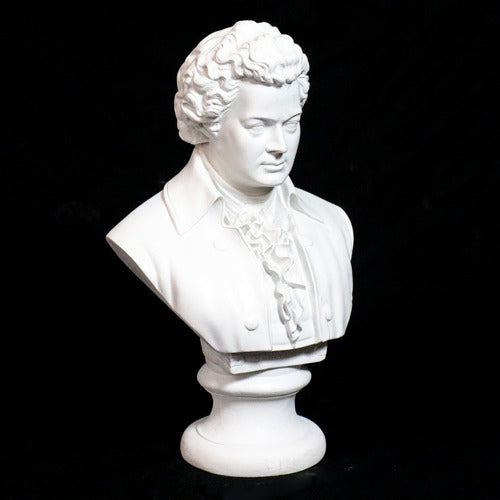 Classical European bust with ornate ruffled shirt and curled hair, inspired by Renaissance and Baroque sculptural styles. Side View