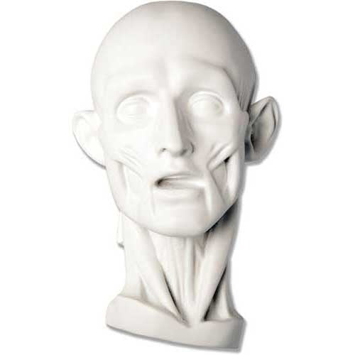 Anatomy Mask Outdoor/Indoor Statue
