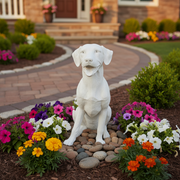 Sitting dog statue with classical European sculptural style and detailed, lifelike features in an ornate, old world design. Side Angle