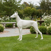 Standing Doberman Dog Garden Statue (32 - Inch) Side Angle