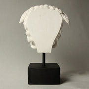 Medusa head sculpture with classical Greek and ornate Baroque details, featuring serpentine hair and dramatic facial expression. Side View