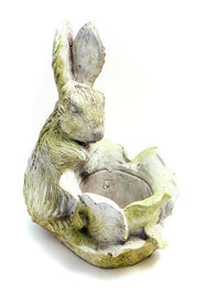 Rabbit Garden (17 - Inch)