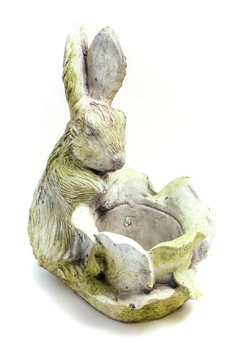 Rabbit Garden (17 - Inch)