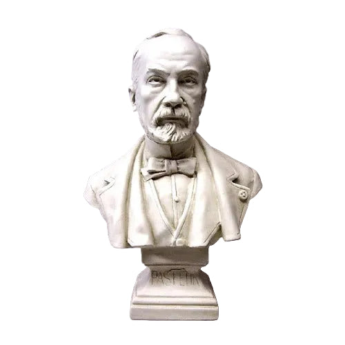 Louis Pasteur Bust Display Decor (20 - Inch)