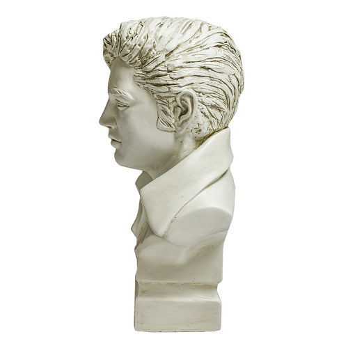 Classical European-style male bust with detailed facial features and wavy hair, inspired by Renaissance and old world sculpture. Side Angle
