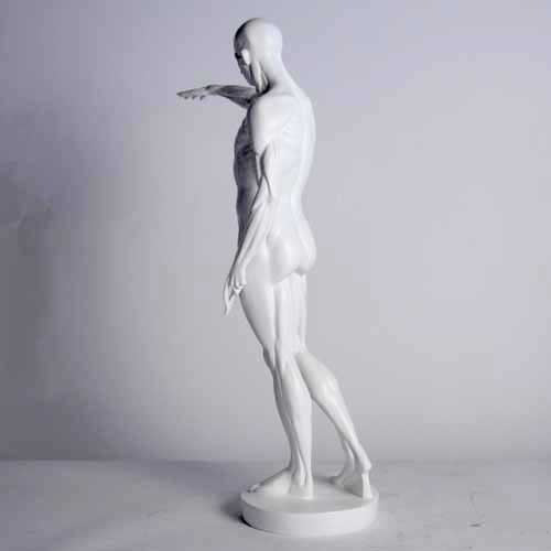 Anatomy of Man Garden Statue (29 - Inch) Side Angle