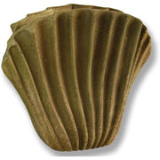 Fan Shell Garden Statue (16 - Inch)