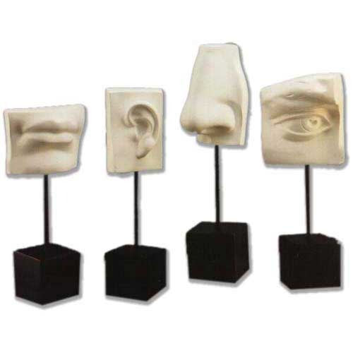 Classical Renaissance-style anatomical sculptures of lips, ear, nose, and eye on black stands, featuring ornate, detailed features.