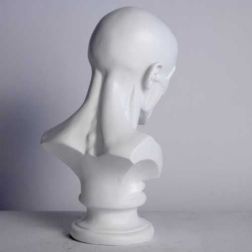 Anatomy Bust Outdoor/Indoor Statue