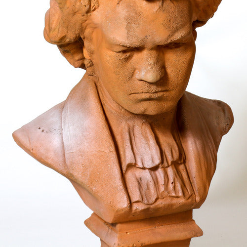 Beethoven With Shirt (26 - Inch) Other Angle