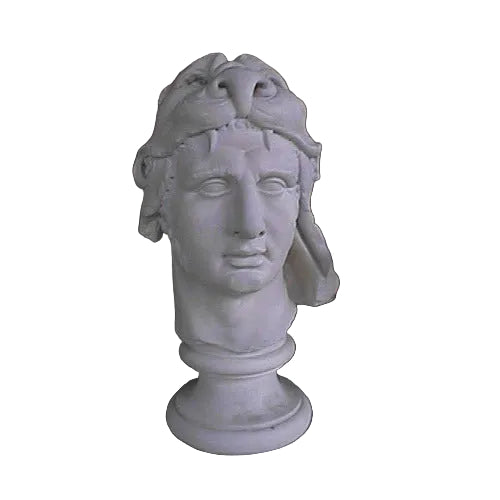Mithridates Bust Display Decor (20 - Inch)