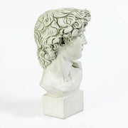 Classical Renaissance bust of a young man with curly hair, detailed facial features, and an ornate, sculpted base. Side View