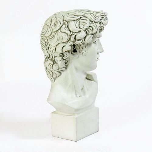 Classical Renaissance bust of a young man with curly hair, detailed facial features, and an ornate, sculpted base. Side View