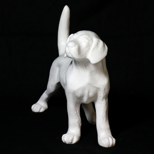 Dog statue with raised tail, classical European style, featuring smooth lines and subtle ornate detailing, reminiscent of Renaissance art. Other Angle